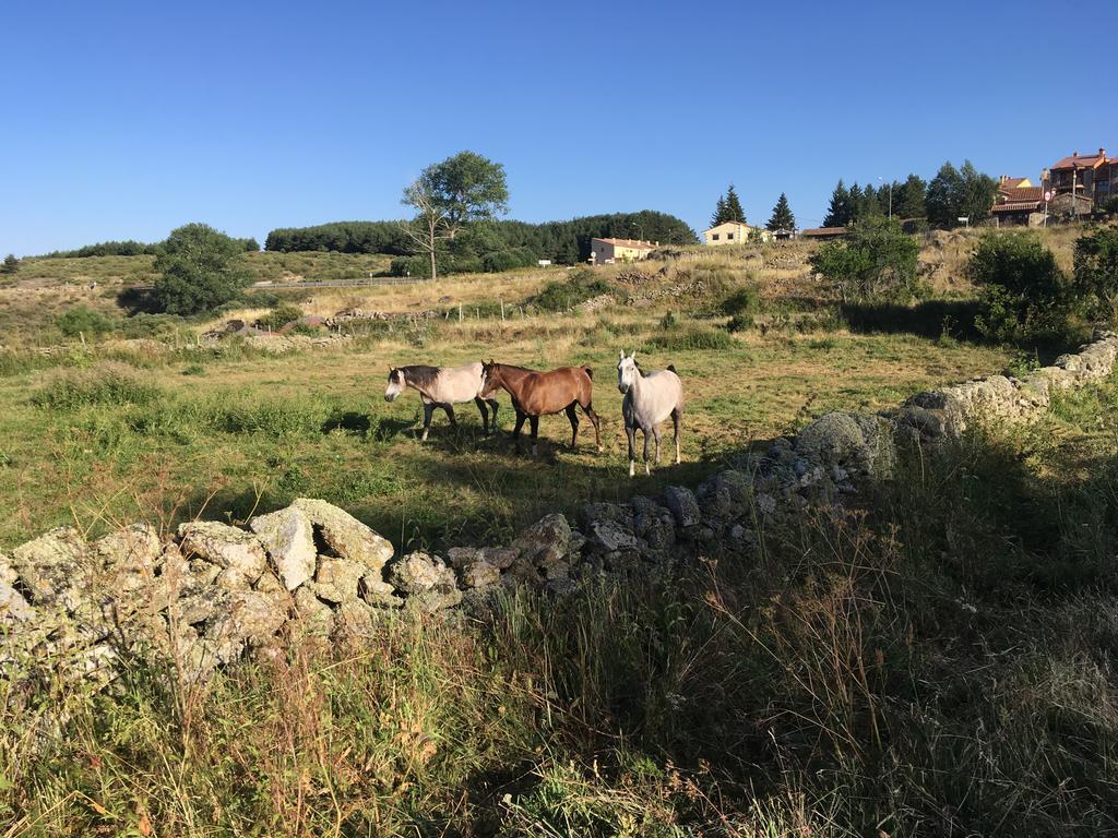 Casa Rural La Casa De Piedra Navarredonda de Gredos